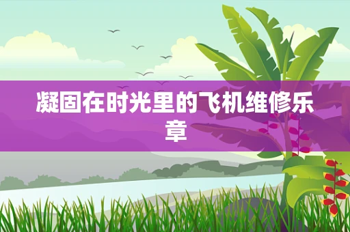 凝固在时光里的飞机维修乐章