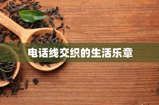 电话线交织的生活乐章