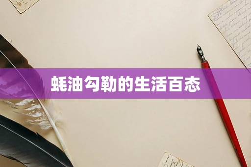 蚝油勾勒的生活百态