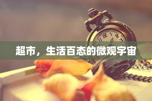 超市，生活百态的微观宇宙