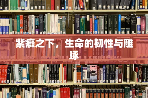 紫癜之下，生命的韧性与雕琢