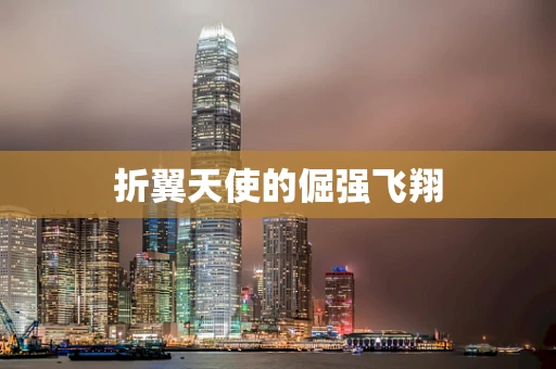 折翼天使的倔强飞翔