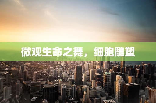 微观生命之舞，细胞雕塑