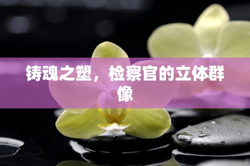 铸魂之塑，检察官的立体群像