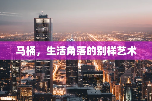 马桶，生活角落的别样艺术