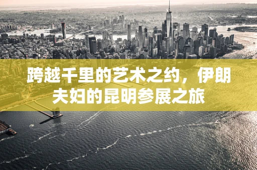跨越千里的艺术之约，伊朗夫妇的昆明参展之旅