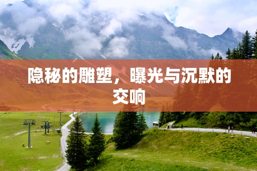隐秘的雕塑，曝光与沉默的交响
