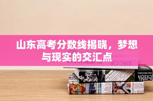 山东高考分数线揭晓，梦想与现实的交汇点