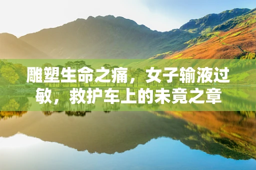 雕塑生命之痛，女子输液过敏，救护车上的未竟之章