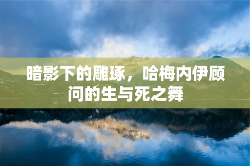 暗影下的雕琢，哈梅内伊顾问的生与死之舞