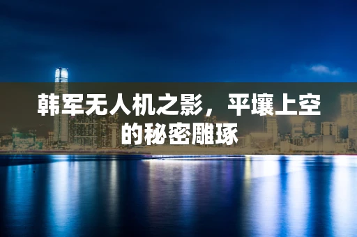 韩军无人机之影，平壤上空的秘密雕琢