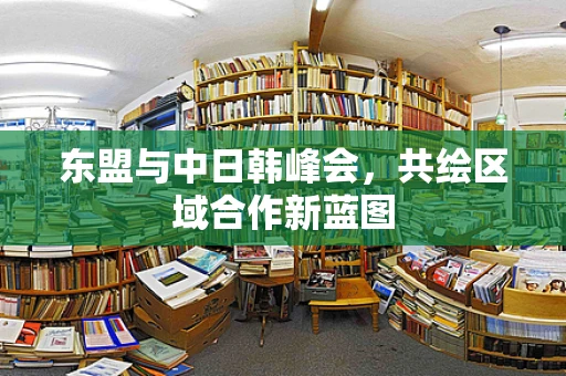 东盟与中日韩峰会，共绘区域合作新蓝图
