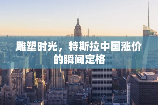 雕塑时光，特斯拉中国涨价的瞬间定格