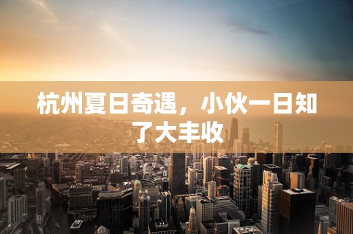 杭州夏日奇遇，小伙一日知了大丰收
