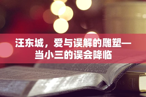 汪东城，爱与误解的雕塑—当小三的误会降临