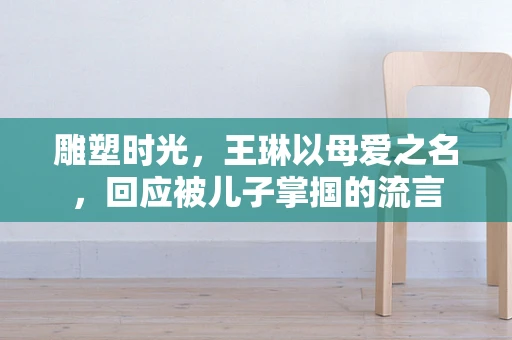 雕塑时光，王琳以母爱之名，回应被儿子掌掴的流言