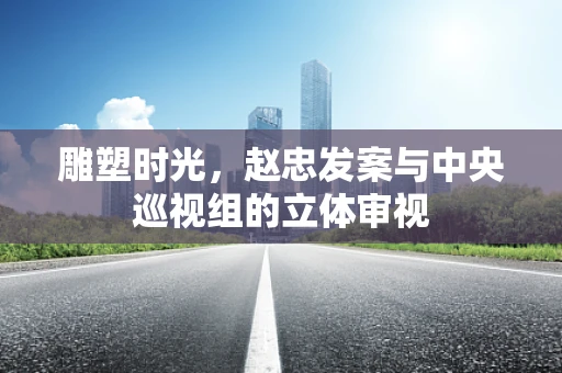雕塑时光，赵忠发案与中央巡视组的立体审视
