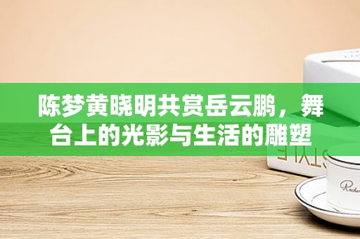 陈梦黄晓明共赏岳云鹏，舞台上的光影与生活的雕塑