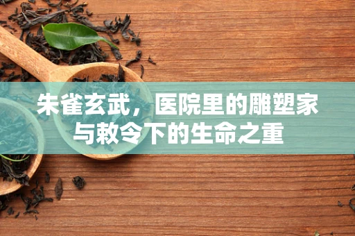 朱雀玄武，医院里的雕塑家与敕令下的生命之重