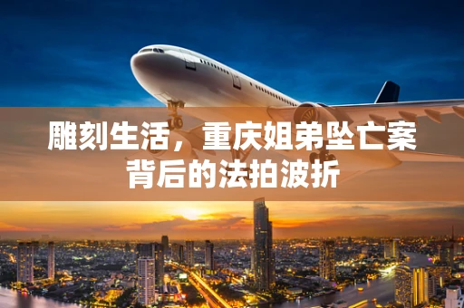 雕刻生活，重庆姐弟坠亡案背后的法拍波折