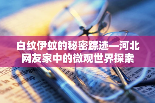 白纹伊蚊的秘密踪迹—河北网友家中的微观世界探索
