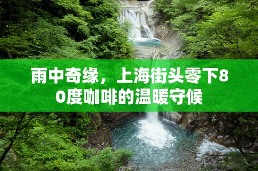 雨中奇缘，上海街头零下80度咖啡的温暖守候