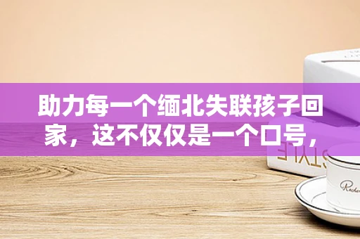 助力每一个缅北失联孩子回家，这不仅仅是一个口号，它是我心中最深切的呼唤。那些在缅北深山中迷失的孩子，他们的身影如同被遗忘的角落，在时间的尘埃中渐渐模糊。我愿化作一束光，穿透黑暗，照亮他们回家的路
