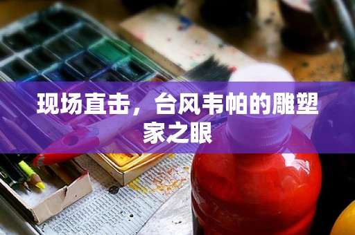 现场直击，台风韦帕的雕塑家之眼