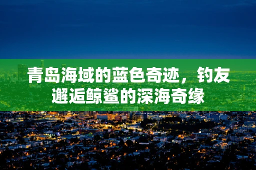 青岛海域的蓝色奇迹，钓友邂逅鲸鲨的深海奇缘