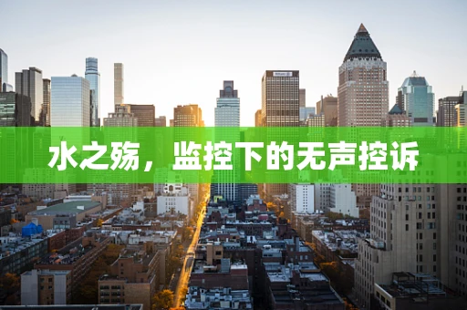 水之殇，监控下的无声控诉
