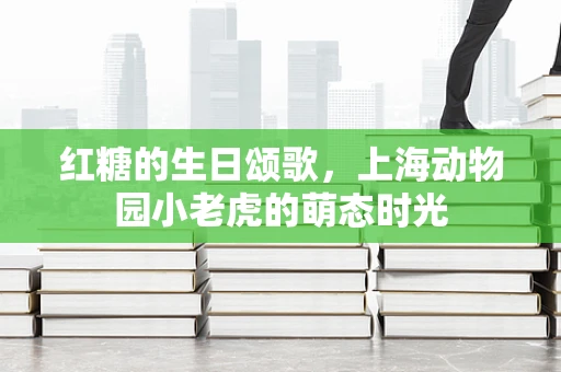 红糖的生日颂歌，上海动物园小老虎的萌态时光