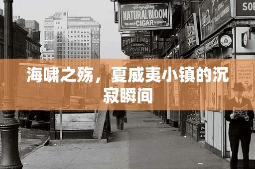 海啸之殇，夏威夷小镇的沉寂瞬间
