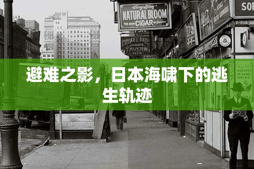 避难之影，日本海啸下的逃生轨迹