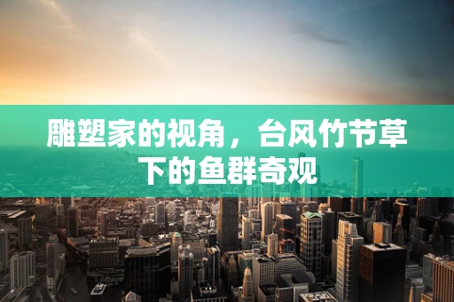 雕塑家的视角，台风竹节草下的鱼群奇观