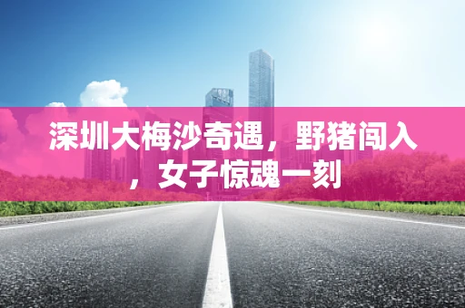 深圳大梅沙奇遇，野猪闯入，女子惊魂一刻