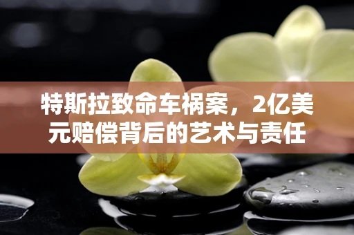 特斯拉致命车祸案，2亿美元赔偿背后的艺术与责任