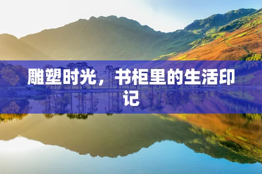 雕塑时光，书柜里的生活印记