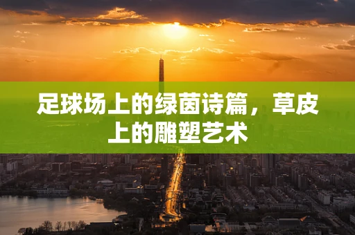 足球场上的绿茵诗篇，草皮上的雕塑艺术